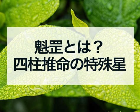 時柱魁罡|魁罡（かいごう）の私が書く 】人生は冒険・魁罡の。